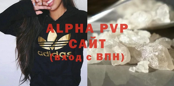 сатива Горняк