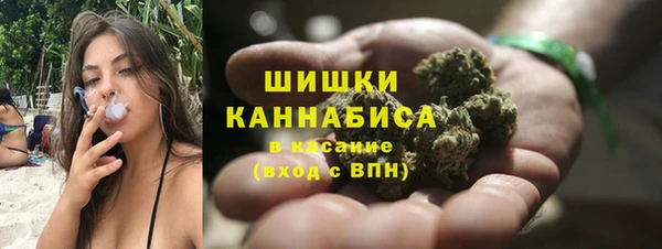 дживик Гусь-Хрустальный