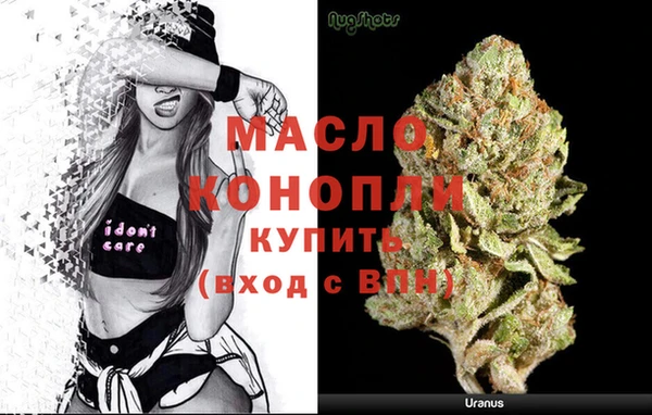 сатива Горняк
