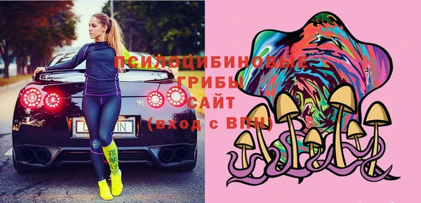 дживик Гусь-Хрустальный