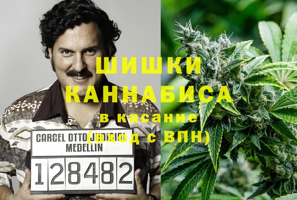 дживик Гусь-Хрустальный