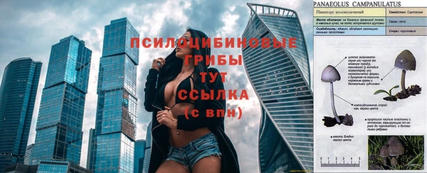 а пвп мука Гусев