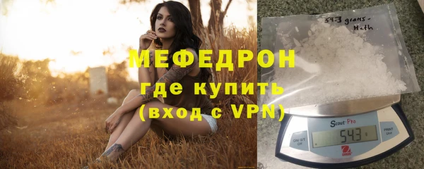 сатива Горняк