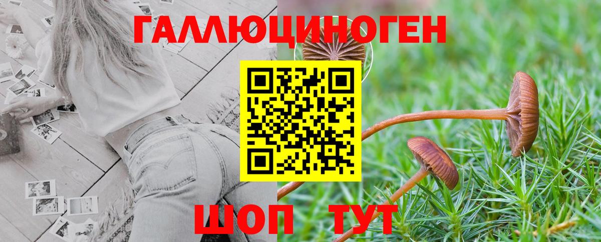 Джанкой  Галлюциногенные грибы мухоморы  Вход с VPN 